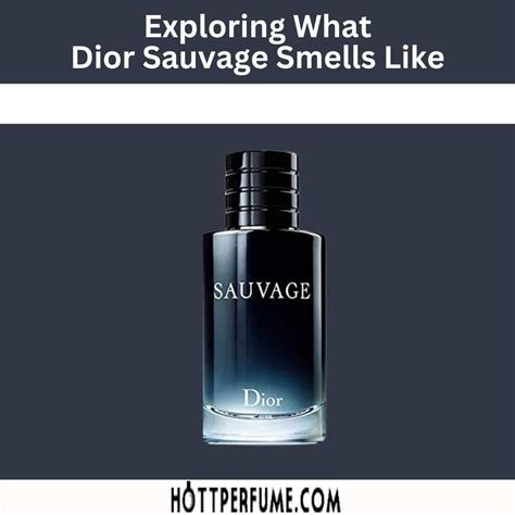 dior sauvage redidt|Dior Sauvage smells like.